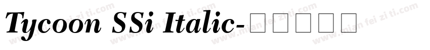 Tycoon SSi Italic字体转换